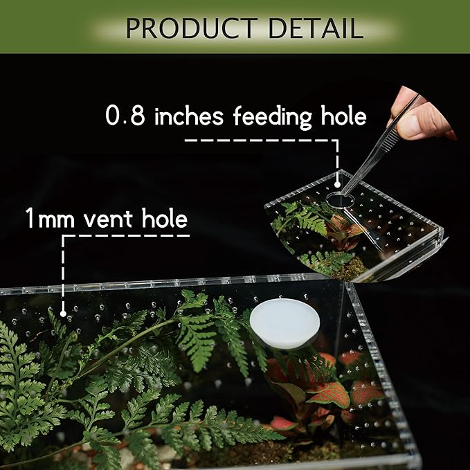 Acrylic Terrarium for Reptiles & Spiders – Small/Medium/Large Leak-Proof Enclosure (Horizontal/Vertical) | Ideal for Tarantulas, Jumping Spiders, Frogs & Geckos (Large, Horizontal)
