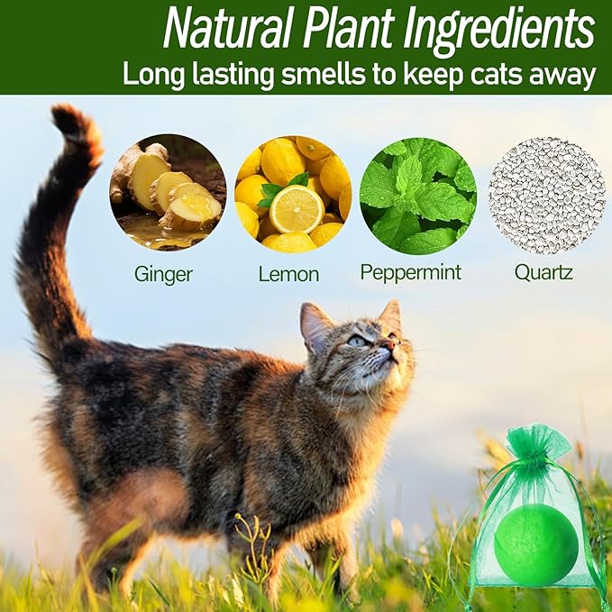 Cat Deterrent Outdoor & Indoor, 10 Pack Natural Peppermint Oil Cat Deterrent Balls to Keep Cats Out of Yard Permanently, Anti Cat Scratching & Chewing Furniture & Peeing from Lawn, Yard, Garden