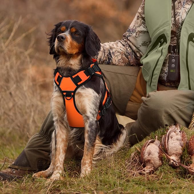 WINGOIN Orange Tactical Dog Harness for Large Dogs,No Pull Dog Harness | Heavy Duty with Handle,Adjustable Reflective,Military K9 Style,Big Size Body Dog Vest,for German Shepherd,for Walking Hunting