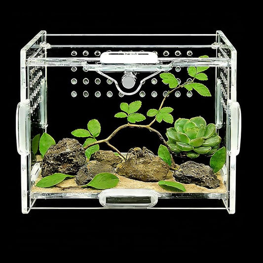 Small Acrylic Insect Terrarium - Mini Bug Enclosure for Jumping Spiders, Praying Mantises & Tiny Frogs - Clear Acrylic Cage with 1mm Ventilation Holes, Easy Maintenance