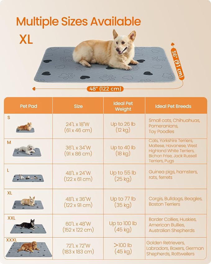 Feandrea Washable Dog Pee Pads, 2 Pack, Reusable, 48 x 36 Inches, XL, Waterproof Pet Training, Leakproof, Non-Slip, Super Absorbent, Gray UPTD036G01