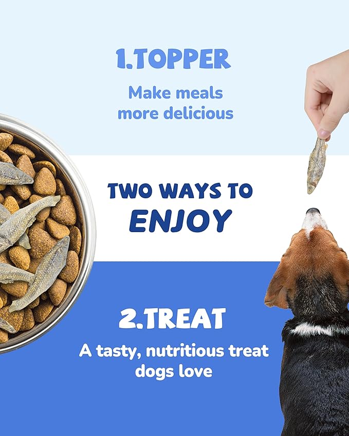 PAWUP Freeze Dried Minnows Dog Treats – 100% Single Ingredient Fish Treats for Dogs – Omega-3 Rich, Grain Free Training Treats & Dog Food Topper, 2.8 oz