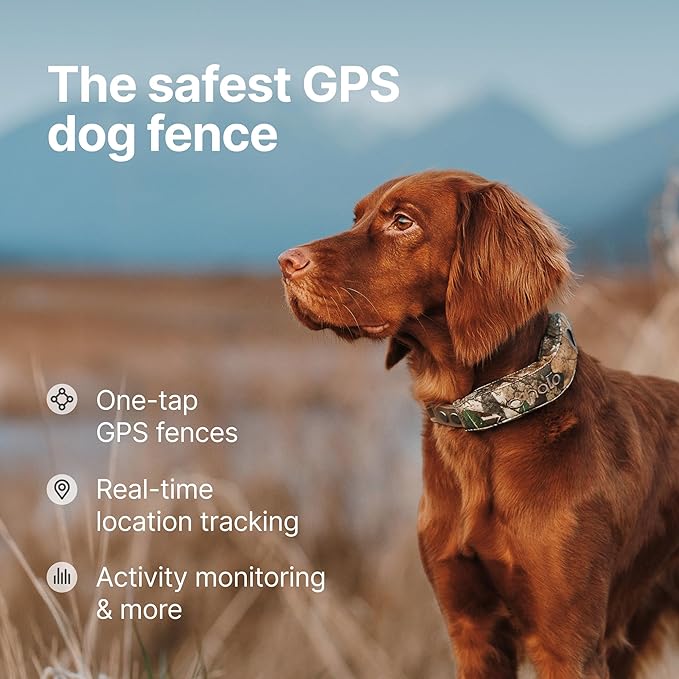 Halo Collar 5 Wireless Dog Fence & GPS Dog Collar, Keep Your Dog Safely Contained Outdoors with App-Controlled Boundaries and Real-Time Tracking, One Size, Realtree Camo