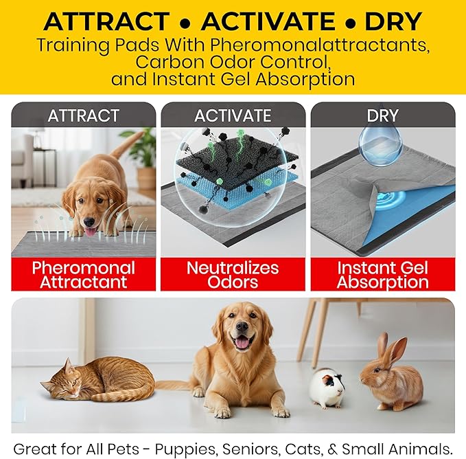 Glad for Pets Black Charcoal Puppy Pads - Super Absorbent Disposable Dog Pee Pads, Potty Training Pads, and Pet Supplies - Dog Pee Pads for Crate Training and Indoor Use 23" x 23" - 30 Count