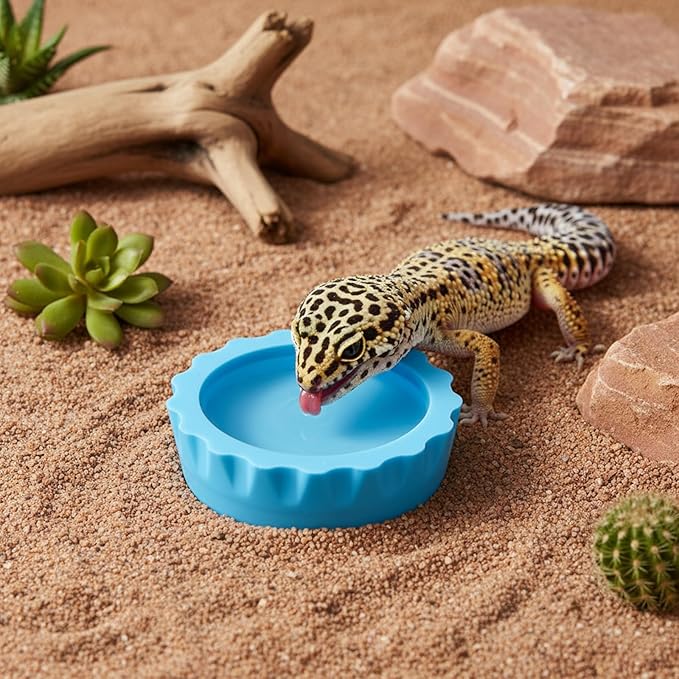 12 Pack Crested Gecko Food and Water Bowl, Reusable Reptile Food Dish, Silicone Colorful Water Bowl Gecko Tank Accessories for Tortoise, Crab,Tarantula, Lizard