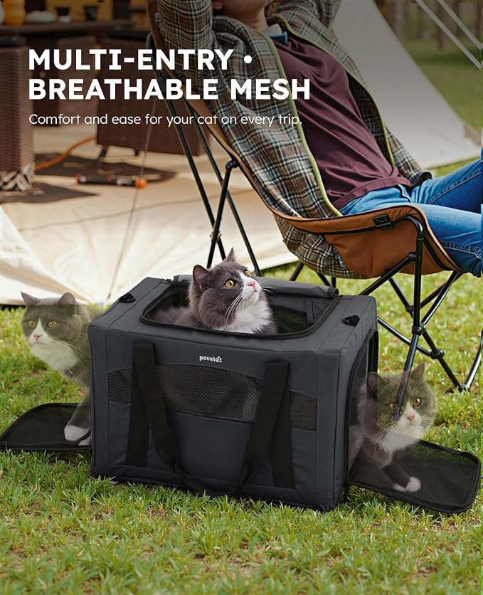 Pecute Cat Carrier Stable, Pet Carrier with Privacy Partition,Dark Gray | Safe For Car Travel, Stable Steel Frame, Soft-Sided Pet Carrier Bag For Dogs And Cats Up To 11lbs, Foldable Design.