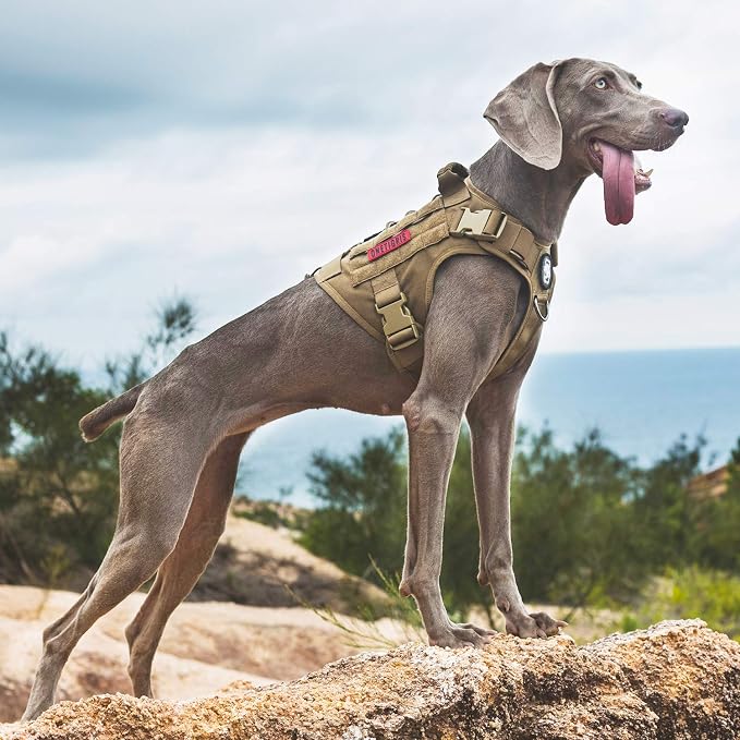OneTigris Tactical Dog Harness No-Pull Service Vest for Medium Large Dogs | Military 1000D Pullable Nylon, Service Dog Vest with Hook & Loop Panels, Easy On & Off for Walking Hiking Training Brown M