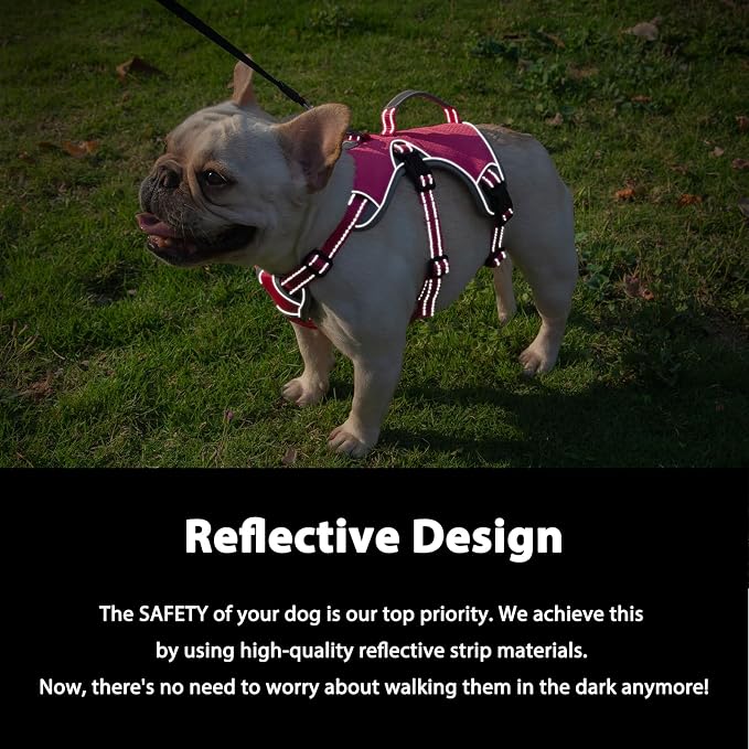 Escape Proof Dog Harness, Dachshund Harness, Reflective Dog Harness with Handle, Durable,Adjustable Vest for Small Medium Large Dogs Walking, Training, and Running Gear (Rose red,XL)
