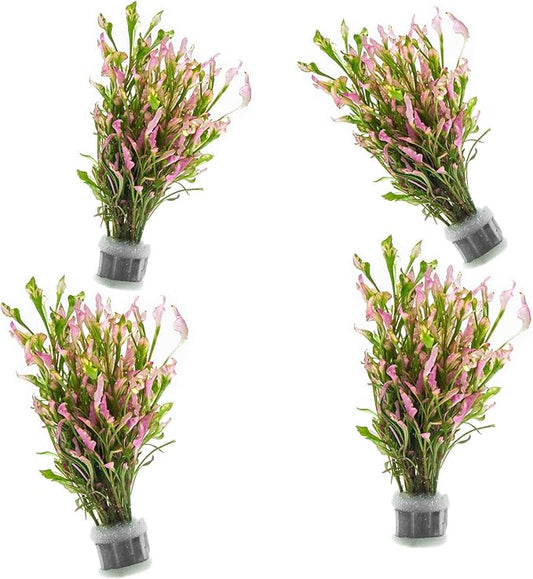 SubstrateSource Live Aquarium Stem Plants - Freshwater Aquatic Plant for Fish Tanks, Aquascaping - (Alternanthera Reineckii Variegatus, 4 Bunches)