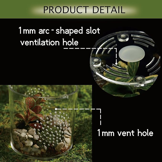 Acrylic Terrarium for Reptiles & Spiders – Small/Medium/Large Leak-Proof Enclosure (Horizontal/Vertical) | Ideal for Tarantulas, Jumping Spiders, Frogs & Geckos(Small, Round)