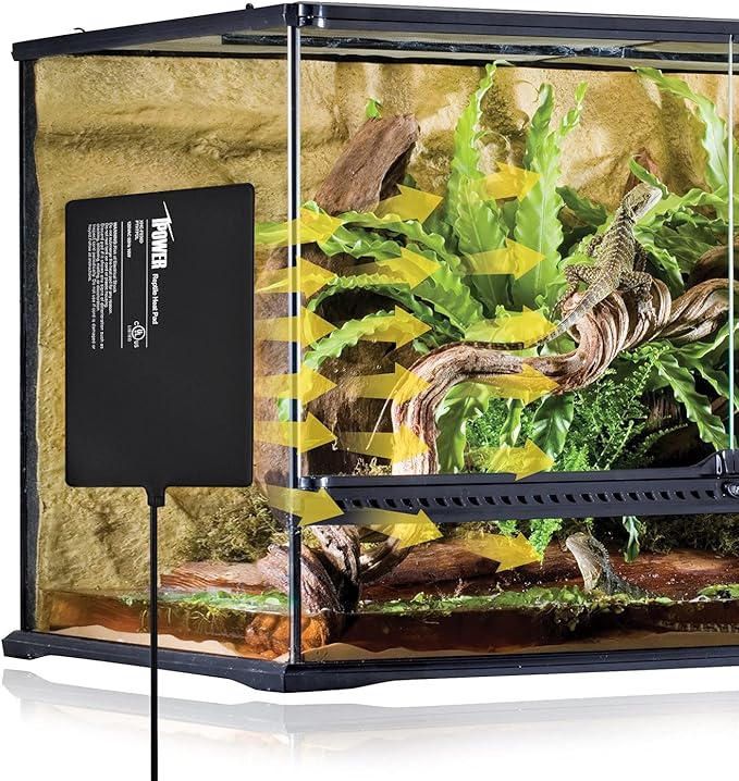 iPower 8X12 Inch Reptile Heat Pad Under Tank Heater Terrarium Warmer Heating Mat and Digital Thermostat Controller for Turtles Lizards Frogs and Other Small Animals