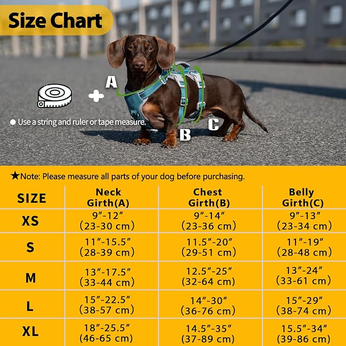 Escape Proof Dog Harness, Escape Artist Harness, Fully Reflective Harness with Padded Handle, Breathable, Durable, Adjustable Vest for Small Dogs Walking, Training, and Running Gear (Teal,S)