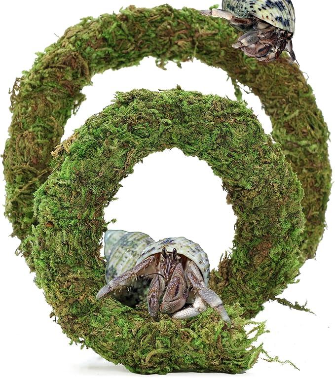 USMOLA Bendable Hermit Crab Climbing Toys, Adjustable Fake Moss Vine for Pet Snail Hermet Crab Habitat Hideouts Tank Terrarium Accessories (Natural Green, 20Inch)