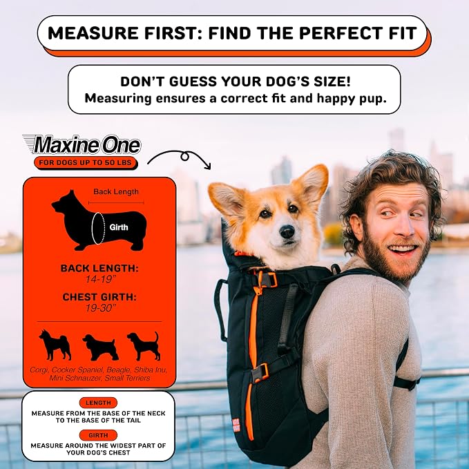 Maxine One Dog Backpack Carrier for Medium Dogs (Gray) | Adjustable & Ergonomic Pet Carrier, Built to be Safer, Hands Free Travel & Hiking, Front Facing, Featured in Wired Magazine