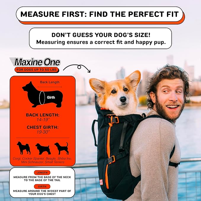 Maxine One Dog Backpack Carrier for Medium Dogs (Black) | Adjustable & Ergonomic Pet Carrier, Built to be Safer, Hands Free Travel & Hiking, Front Facing, Featured in Wired Magazine
