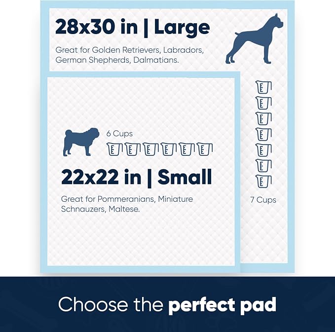 AKC Puppy Training Pads, 22" x 22", Eucalyptus Scented 100 Count