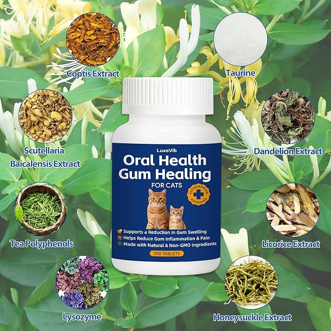 Oral Health for Cats, Cat Gingivitis Treatment, Reduce Gum Inflammation, Redness & Pain, Combats Gum Disease, Natural Plant-Based Active Formula, Cat Oral Care, Gums Health Treatment