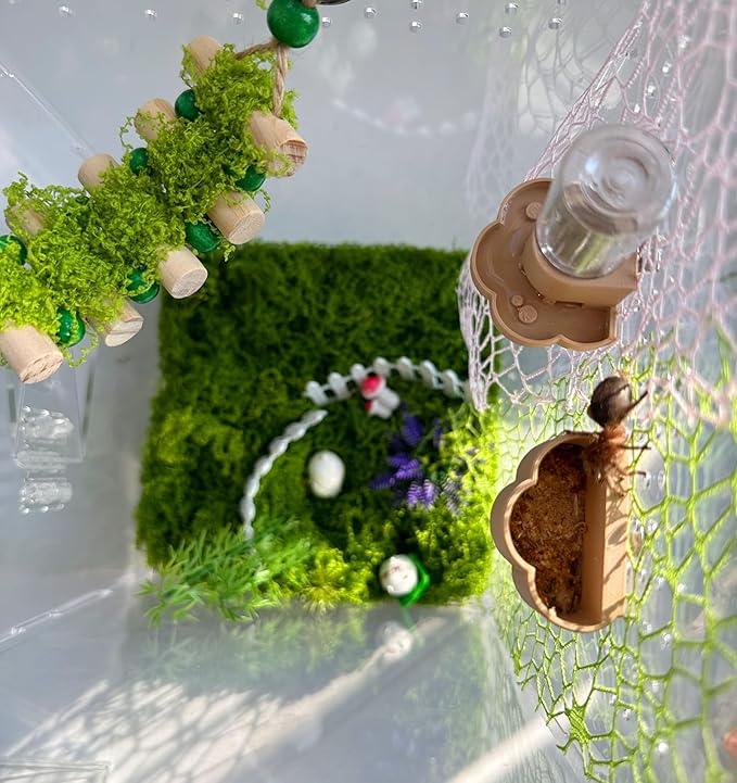 Jumping Spider Water Dispenser, Magnetic Hanging Feeder Dish with Cleaning Brush and Tweezers,Fits for Jumping Spiders,Arboreal Animals, and Other Small Animal Accessories (Colorful, 8ml)