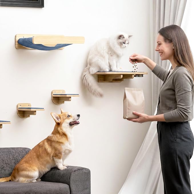 Cat Wall Shelves - Wall Mounted Cat Shelves with Feeding Station | Natural Wood Finish, Solid Pinewood, Gray Carpet, Supports Up to 33 lbs, Stainless Bowls, Dog-proof, Lounging, Climbing
