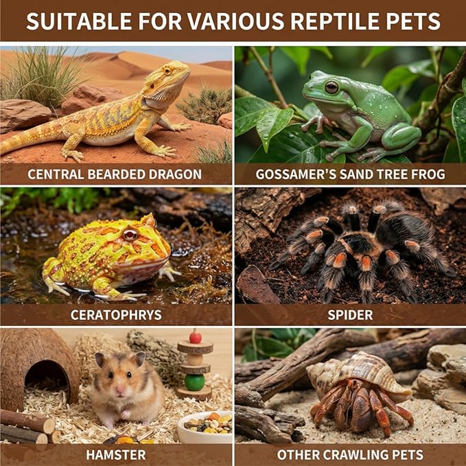Large Jumping Spider Enclosure, 12x6x6 Inch Acrylic Spider Terrarium, Pre-Assembled Reptile Enclosure with Front Opening Door, Habitat Accessories for Mantis, Tarantula, Snail, Invertebrates