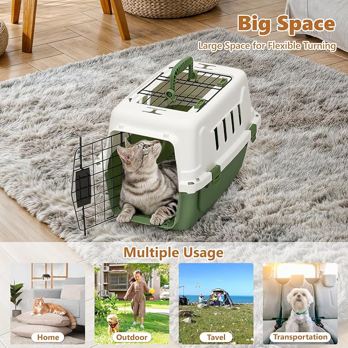 Athena Collection 18" Hard-Sided Travel Pet Carrier for Small Dogs and Cats | Plastic Dog Carriers with 2-Door Top & Front Load, Ventilation, Security Lock, Cat Dog Carrier for Pet, up to 10lbs, Green