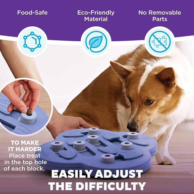 Outward Hound by Nina Ottosson Dog Hide N' Slide – Interactive Treat Puzzle Enrichment Toy, Level 2 Intermediate