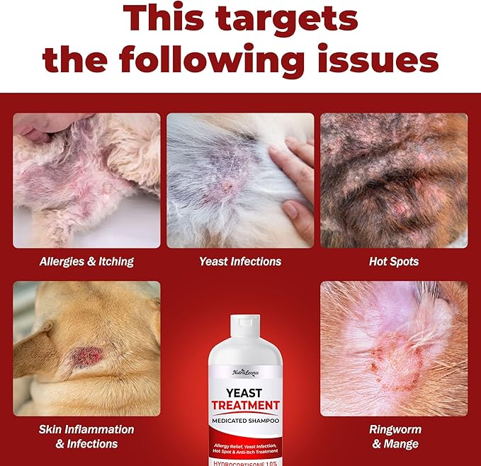 Yeast Infection Treatment for Dogs Shampoo - Allergy Relief, Yeast Infection, Hot Spot & Dry Skin Anti-Itch Treatment Wash - Vet Formula - Healthy Skin & Coat - 473ml / 16 fl oz