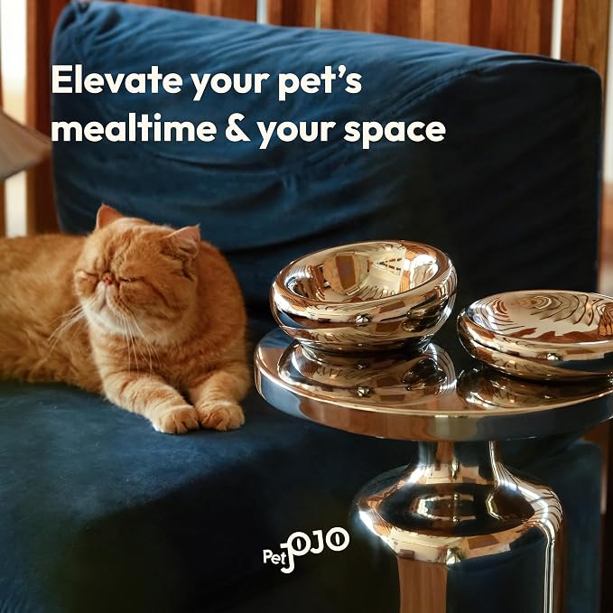 Pebble Pet Bowl Deep Chrome, Ergonomic Dog Cat Feeding Bowl, Flat-Faced Breed, Tilted Ceramic Pet Food Dish, Scooper Eater, Anti-Spill Design, Dishwasher Safe, Modern Pet Bowl, Dry & Wet Diet
