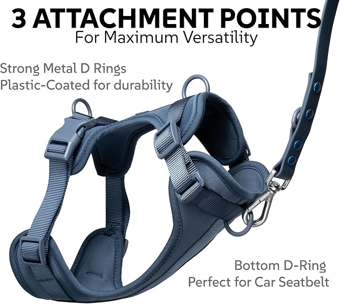 Dog Harness, Collar & Leash Set, Adjustable No Pull Harness with 3 Leash Clips, Waterproof Matching Collar & Leash, Breathable Comfort (Blue, Small)