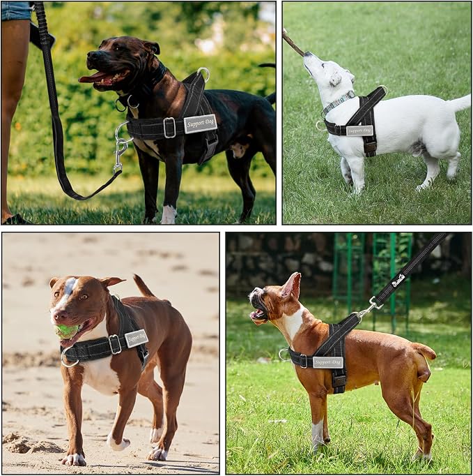 SlowTon No Pull Dog Harness with Front Clip - Heavy Duty, Soft Padded | Neck & Chest Adjustable, Tactical Pet Vest and Leash Set for Large Medium Sized Dogs, for Easy Walk & Training, Black M