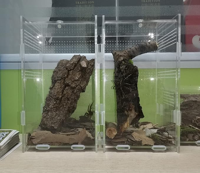 AWXZOM Magnetic Acrylic Case, micro habitat small Tarantula Enclosure enclosure for arboreal Tarantula Scorpion Sling Lizards Mantis Snake Gecko jumping spider snail Insect Isopods (4.7*4.7*7.8 inch)