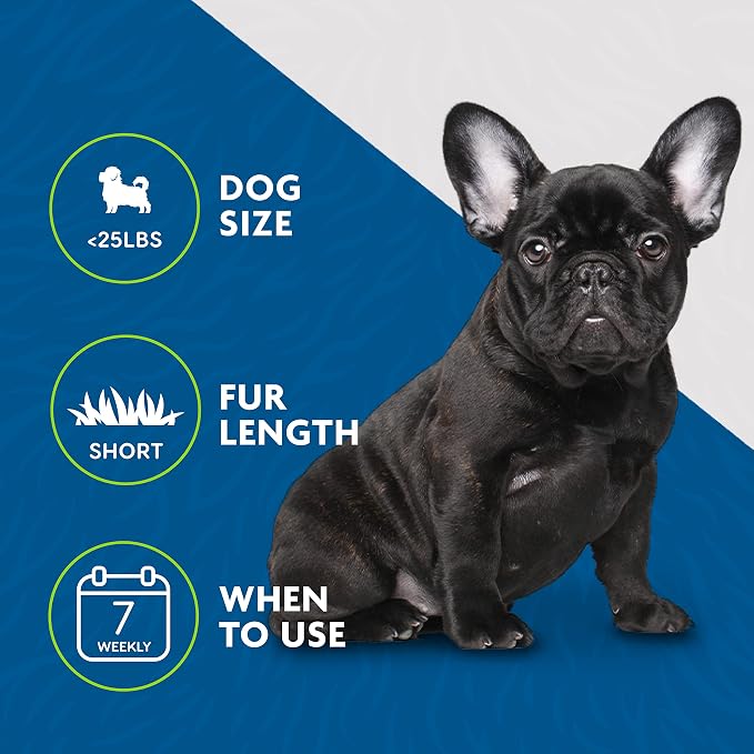 FURminator Small Dog Undercoat deShedding Tool for Short Hair | Reduces Loose Hair From Shedding, Easy Clean-Up, For Dogs Less Than 25 lbs, Use Weekly, Ergonomic Handle For Comfort