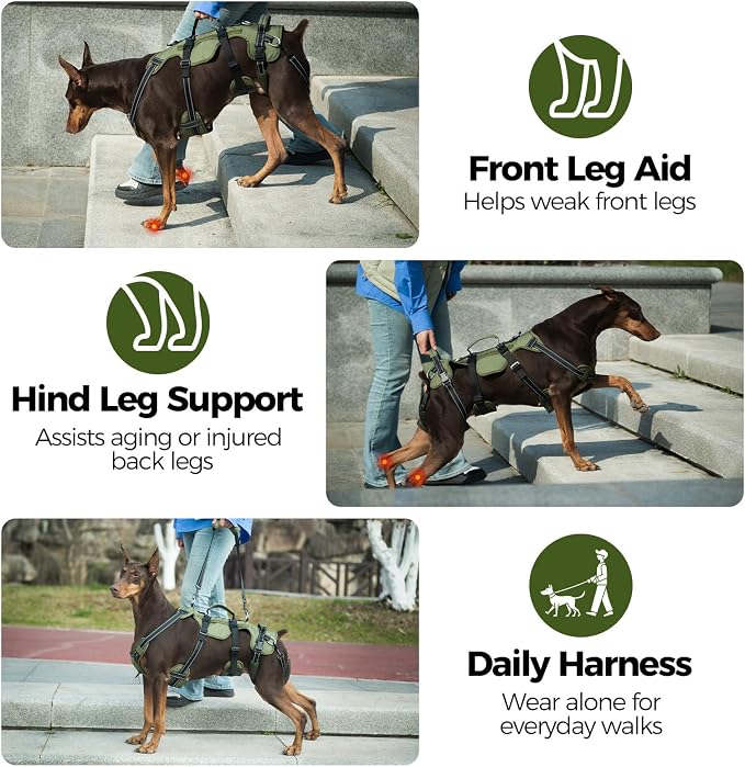 BINGPET Dog Lift Harness for Medium Dogs, Full Body Adjustable Handle Sling | Reflective Lifting Harness Rehabilitation Sling Carrier with Soft Padded Handle, Mobility Assistance Vest for Senior Pets
