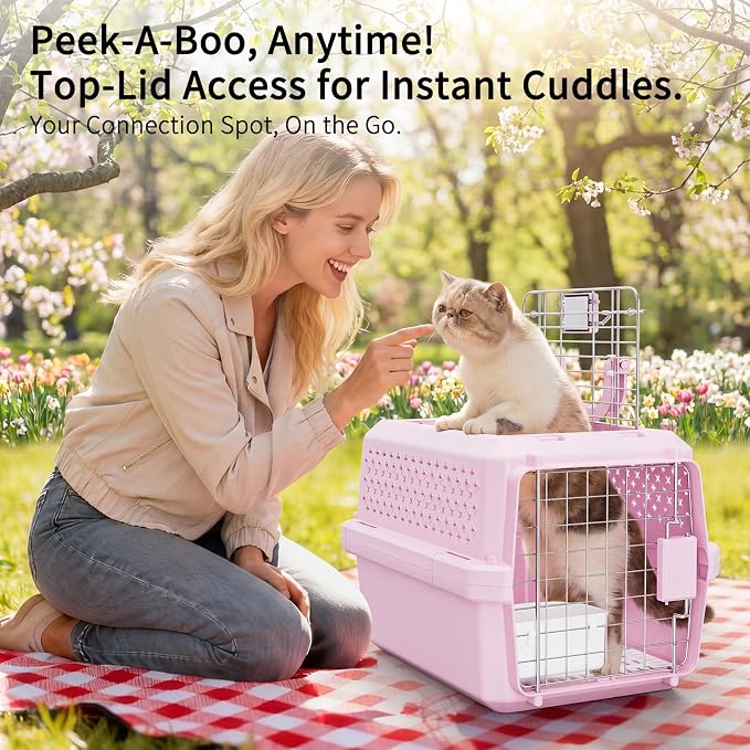 RIZZARI XS Pet Carrier for Small Cats & Dogs, Hard-Sided Travel Crate | Fits Pets Up to 10 lbs,Compact Travel Size,Secure Locking Door,Fresh Air Ventilation,Includes Food Bowl,Great for Vet Visits