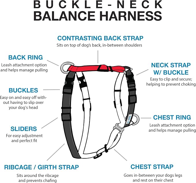 Blue-9 Buckle-Neck Balance Harness, Fully Customizable Fit No-Pull Harness, Ideal for Dog Training and Obedience, Made in The USA, Red, Medium/Large