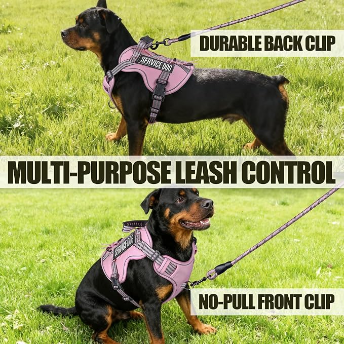 Service Dog Tactical Vest Harness and Leash Set Small Sized Dog Emotional Support- Tactical Dog Harness Training Collar with Name (Pink, S) ﻿
