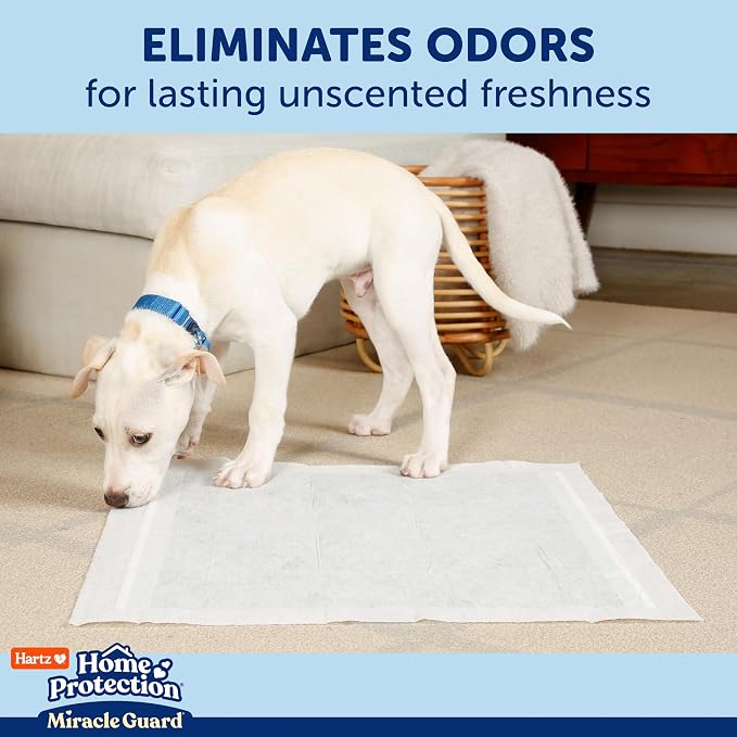 Hartz Miracle Guard Dog and Puppy Dog Pads Max Absorbency 24 Hour Use Odor Eliminating No Leaks, 2XL Size, 20 Count (Pack of 2)