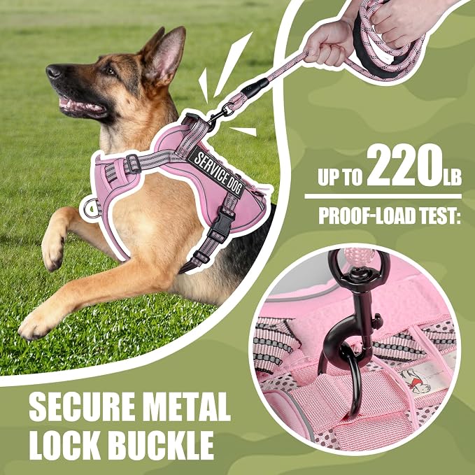 Service Dog Tactical Vest Harness and Leash Set Small Sized Dog Emotional Support- Tactical Dog Harness Training Collar with Name (Pink, S) ﻿