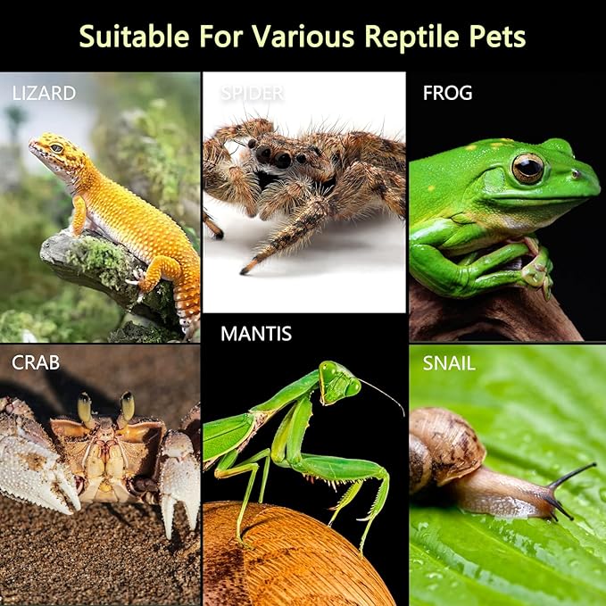 Acrylic Jumping Spider Enclosure, Small Reptile Insect Terrarium, Spider Tank with Magnetic Door & All-Side Vent, Pre-Assembled Habitat for Spiderling, Mantis, Tarantula, Snail 4.7" * 4.7" * 7.8"
