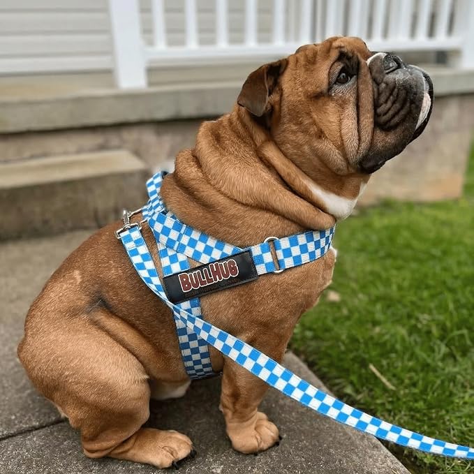 Adjustable Dog Harness– No Pull, No Choke – for English Bulldogs, French Bulldogs, Pugs & Broad-Chested Breeds – Easy, Safe Walks (Blue Checkers, Large)