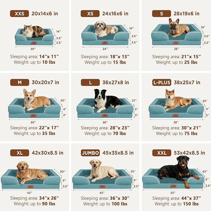Comfort Expression Waterproof Orthopedic Dog Bed for Extra Large Dogs | Supportive Egg Crate Foam XL Pet Bed with Removable Bolster, Dog Couch with Washable Cover & Non-Slip Bottom, 42x30 Inch