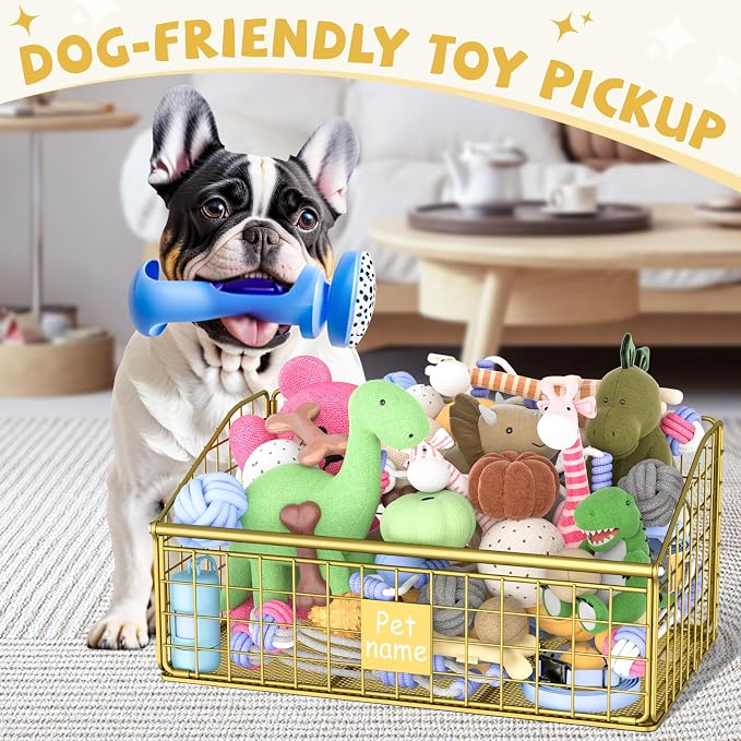 Kaiferty Indestructible Dog Toy basket, Medium Toy Box for Dogs,Pet Toy Bin Dog Metal Basket for Toys, Toy Storage Organizer, Toy Box for Living Room Area (Gold)