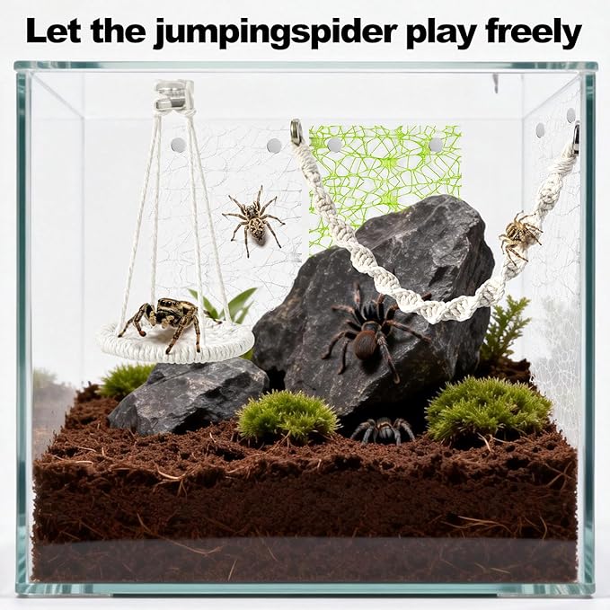 6 PCS Jumping Spider Rope Bridge Swings Set，Jumping Spider Webbed Moss Ribbon Tarantula Enclosure Accessories Natural Cotton Rope Handmade Pet Tiny Animals Enclosure Decorations