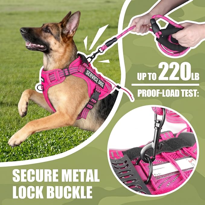 Service Dog Tactical Vest Harness and Leash Set Large Sized Dog Emotional Support- Tactical Dog Harness Training Collar with Name (Rose Red, M)