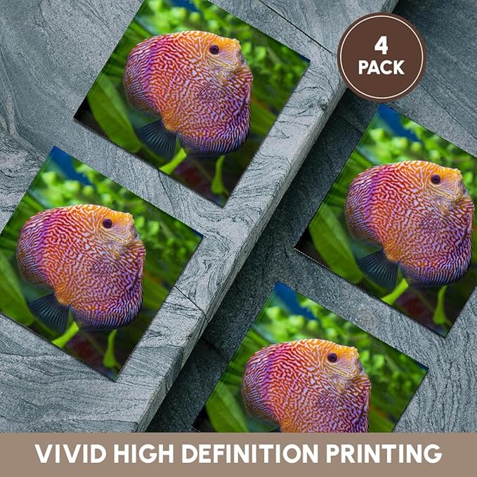 3dRose Super Pigeon Snakeskin Discus, Tropical Freshwater Fish. Set of 4 Ceramic Tile Coasters