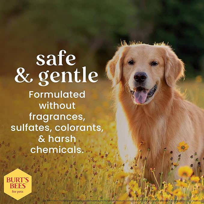 Burt's Bees for Pets Hot Spot Spray for Itchy Dogs with Apple Cider Vinegar and Aloe Vera, Soothes Itchy Skin, 95% Natural Origin Formula, Unscented, pH Balanced, 10 Fl Oz - 6 Pack
