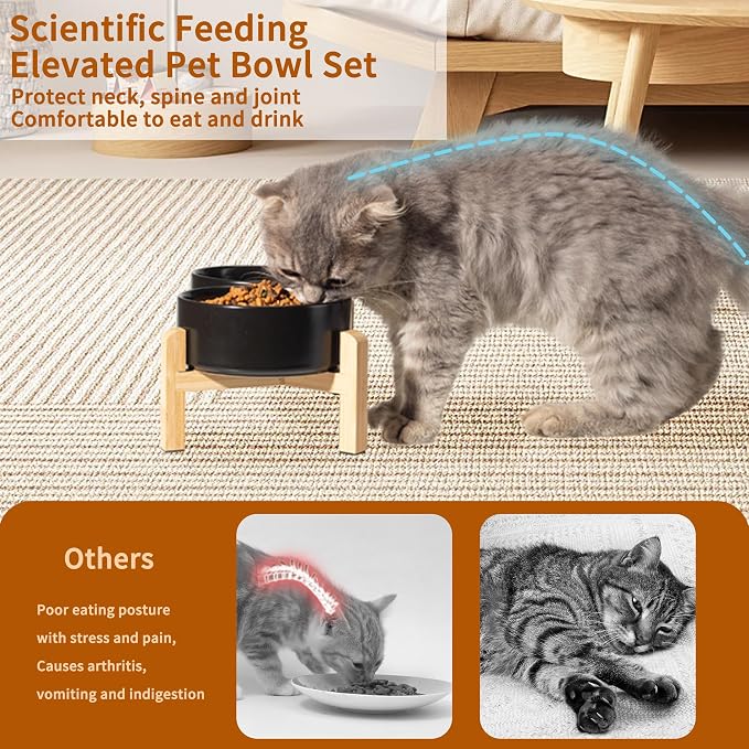 Elevated Ceramic Dog Bowl, 2 Cups Dog Food and Water Bowl Set with Stand | 5.1'' Double Dog Feeding Dishes, Non-Slip Raised Dog Feeder for Cats and Puppies, 16.23 OZ / 480 ML, White