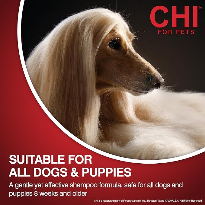 CHI for Dogs Oatmeal Dog Conditioner, pH Balanced Moisturizer for Dry Skin, Sulfate and Paraben Free, Ionic Technology Detangling for Smooth Coat, Dogs and Puppies 8 Weeks+, Made in the USA, 6 Fl Oz