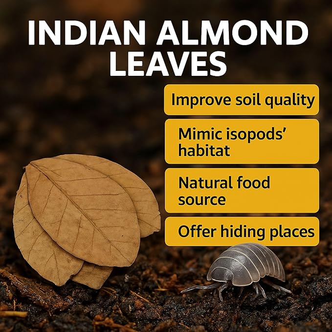 Leaf Litter for Isopods Vivarium Indian Almond Leaves , Tarantulas, Spiders, Crickets Millipedes & Reptiles – 80pcs Natural 4" Dried Catappa Leaves for Bioactive Terrariums,Aquariums & Habitat
