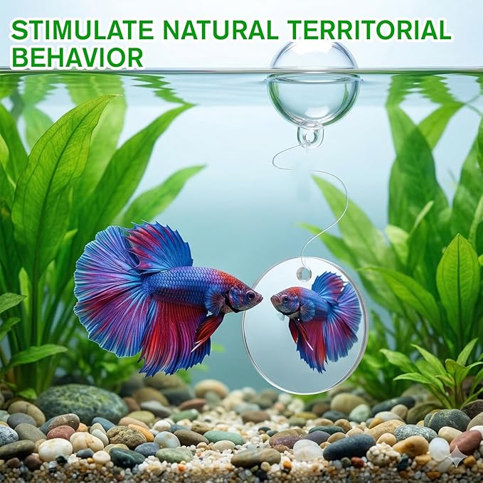 3Pcs Betta Fish Exercise Ring and Mirror Set 1 Mirror with Floating Ball 2 Exercise Training Rings Toy Betta Ring Enrichment Toys Floating Mirrors Balls Resting Spot Fishing Tank Accessories for Fish